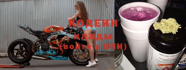 индика Кулебаки