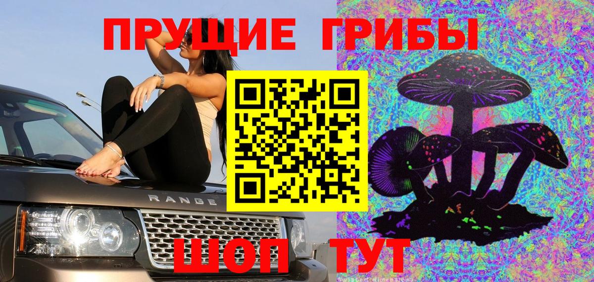 Азнакаево  Галлюциногенные грибы Psilocybe  Вход с VPN 