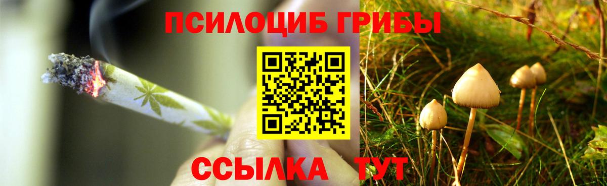 Галлюциногенные грибы MAGIC MUSHROOMS Азнакаево